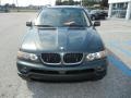 Highland Green Metallic - X5 3.0i Photo No. 10