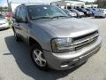 Graystone Metallic - TrailBlazer LS 4x4 Photo No. 1