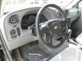 Graystone Metallic - TrailBlazer LS 4x4 Photo No. 3