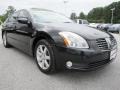 2005 Onyx Black Nissan Maxima 3.5 SL  photo #7