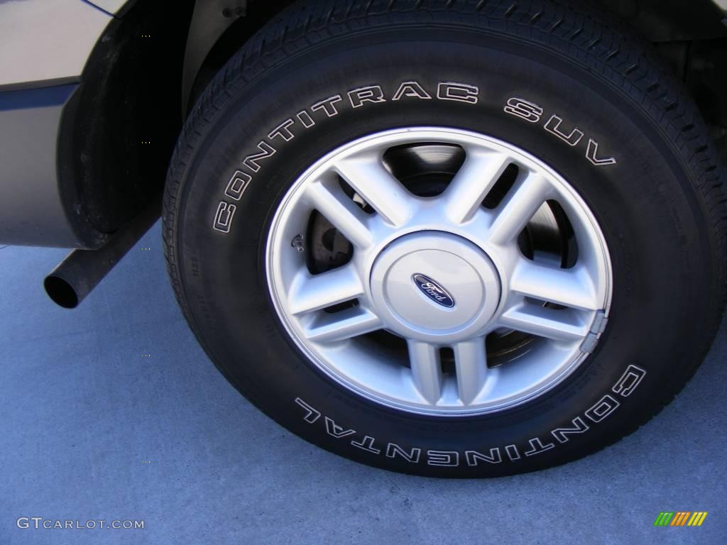 2005 Expedition XLT - Dark Shadow Grey Metallic / Medium Flint Grey photo #14