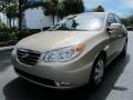 2009 Laguna Sand Hyundai Elantra GLS Sedan  photo #7