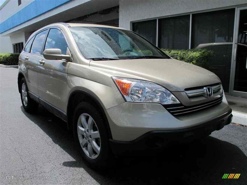 2009 CR-V EX-L - Borrego Beige Metallic / Ivory photo #1