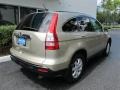 2009 Borrego Beige Metallic Honda CR-V EX-L  photo #3