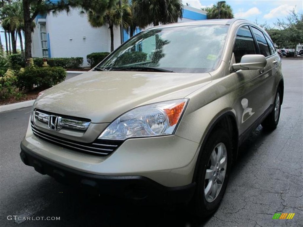 2009 CR-V EX-L - Borrego Beige Metallic / Ivory photo #7