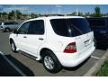 Polar White - ML 320 4Matic Photo No. 3