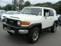Iceberg White - FJ Cruiser 4WD Photo No. 3