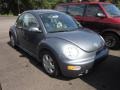 2003 Platinum Grey Metallic Volkswagen New Beetle GLS Coupe  photo #1