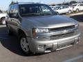 Light Pewter Metallic - TrailBlazer LS Photo No. 4