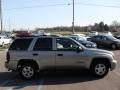 Light Pewter Metallic - TrailBlazer LS Photo No. 5