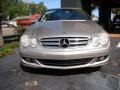 Pewter Metallic - CLK 350 Coupe Photo No. 2