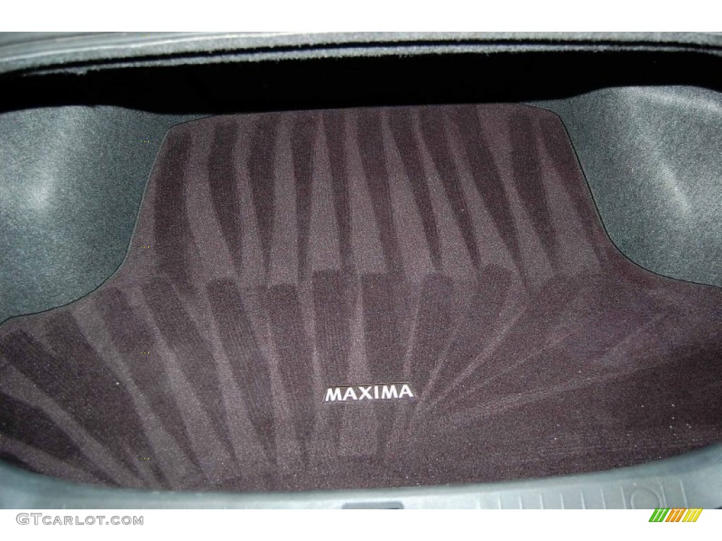 2010 Maxima 3.5 SV - Ocean Gray / Charcoal photo #16