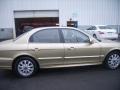 2004 Desert Sand Hyundai Sonata V6  photo #6