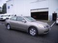 Pebble Beach Metallic - Altima 2.5 S Photo No. 7