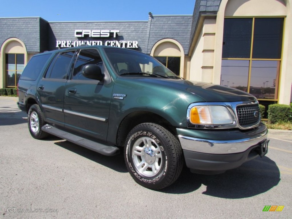 2001 Expedition XLT - Dark Highland Green Metallic / Medium Parchment photo #5