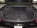 Black Raven - DTS Sedan Photo No. 18
