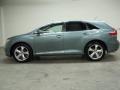 Aloe Green Metallic - Venza V6 Photo No. 2