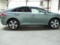 Aloe Green Metallic - Venza V6 Photo No. 6