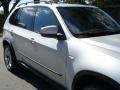 Titanium Silver Metallic - X5 4.8i Photo No. 13