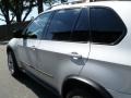 Titanium Silver Metallic - X5 4.8i Photo No. 15