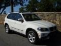 Alpine White - X5 3.0si Photo No. 1