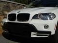 Alpine White - X5 3.0si Photo No. 9