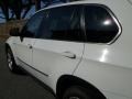 Alpine White - X5 3.0si Photo No. 13