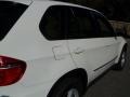 Alpine White - X5 3.0si Photo No. 15
