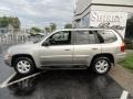 Pewter Metallic - Envoy SLT 4x4 Photo No. 7