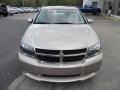 Light Sandstone Metallic - Avenger R/T AWD Photo No. 10