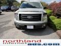 Brilliant Silver Metallic - F150 FX4 SuperCab 4x4 Photo No. 3