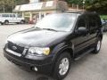 2007 Black Ford Escape XLT V6  photo #2