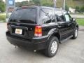 2007 Black Ford Escape XLT V6  photo #4