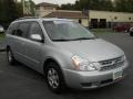 2010 Clear Silver Kia Sedona LX  photo #15