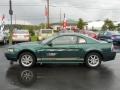 2002 Tropic Green Metallic Ford Mustang V6 Coupe  photo #14