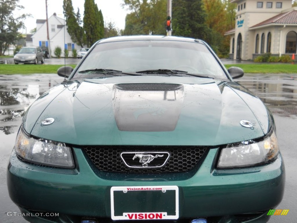 2002 Mustang V6 Coupe - Tropic Green Metallic / Medium Parchment photo #18