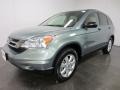 Opal Sage Metallic 2011 Honda CR-V SE 4WD Exterior