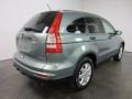 Opal Sage Metallic 2011 Honda CR-V SE 4WD Exterior