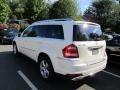 Arctic White - GL 450 4Matic Photo No. 4