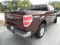 2010 Royal Red Metallic Ford F150 XLT SuperCab 4x4  photo #13