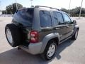 2006 Dark Khaki Pearl Jeep Liberty Sport  photo #9