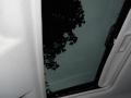Ebony Black - Focus SES Sedan Photo No. 21