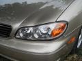 Golden Sand Metallic - I 35 Photo No. 6
