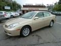 Mystic Gold Metallic - ES 300 Photo No. 1