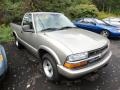 Light Pewter Metallic 1999 Chevrolet S10 LS Regular Cab