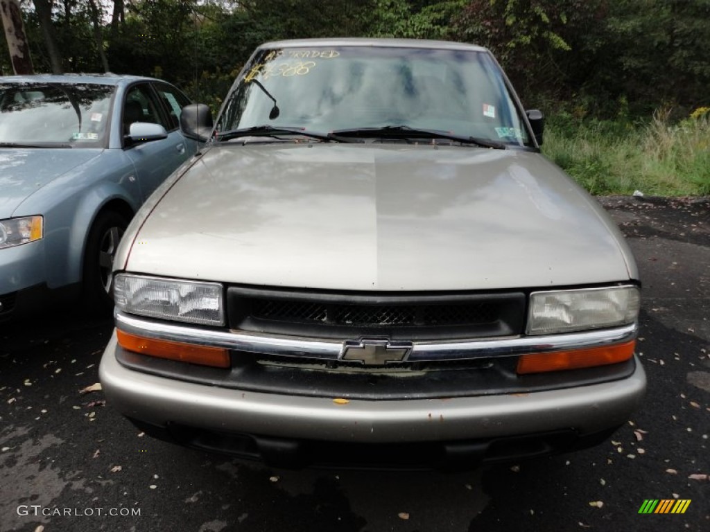 1999 S10 LS Regular Cab - Light Pewter Metallic / Graphite photo #2