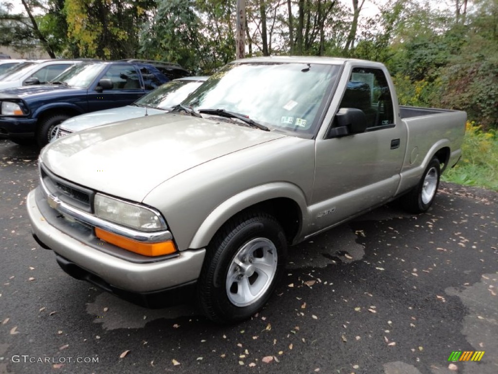 1999 S10 LS Regular Cab - Light Pewter Metallic / Graphite photo #3