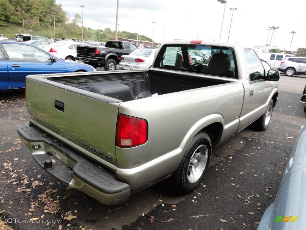 1999 S10 LS Regular Cab - Light Pewter Metallic / Graphite photo #7