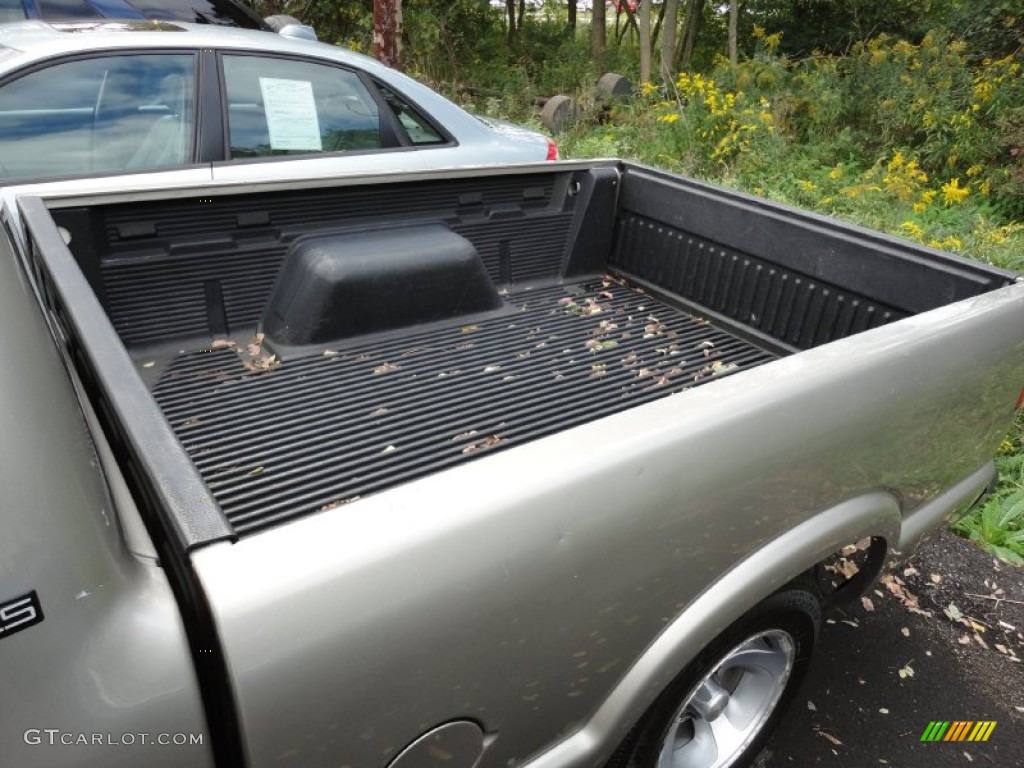1999 S10 LS Regular Cab - Light Pewter Metallic / Graphite photo #12