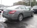 Precision Gray Metallic - Maxima 3.5 SV Photo No. 3